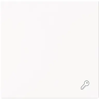 Busch-Jaeger 2520 TR-44M schakelwip symbool sleutel Art Linear studiowit mat