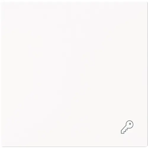 Busch-Jaeger 2520 TR-44M schakelwip symbool sleutel Art Linear studiowit mat