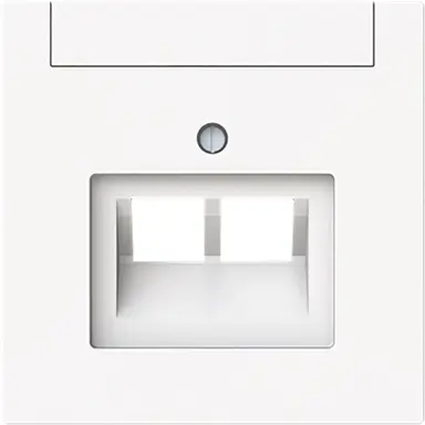 Busch-Jaeger 1803-02-44M centraalplaat RJ45 wandcontactdoos 2-voudig Art Linear studiowit mat