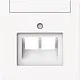 Busch-Jaeger 1803-02-44M centraalplaat RJ45 wandcontactdoos 2-voudig Art Linear studiowit mat