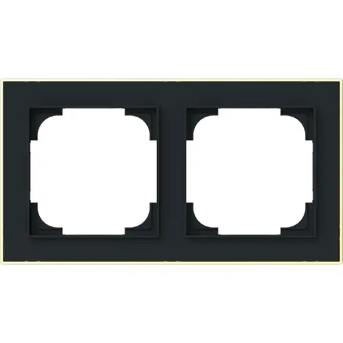 Busch-Jaeger 1722-453M afdekraam 2-voudig Art Linear zwart mat sierring goudkleurig