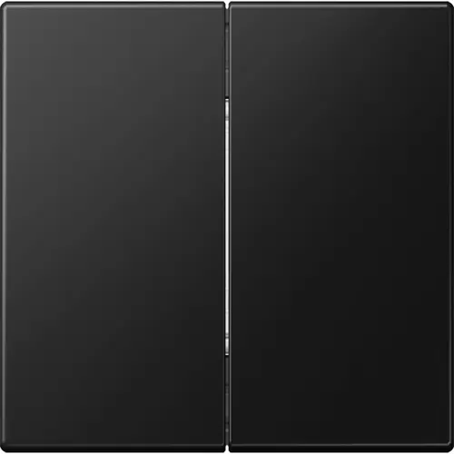 JUNG MAT LS 995 SWM Matter batterijgevoede taster 2-voudig 4-kanaals LS990 grafietzwart mat