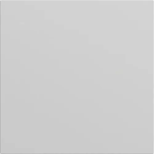 Gira 026876 blinddeksel incl. draagframe Systeem 70 grijs mat