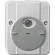 Schneider 544829 opbouw schemerschakelklok ARGUS lichtgrijs IP54