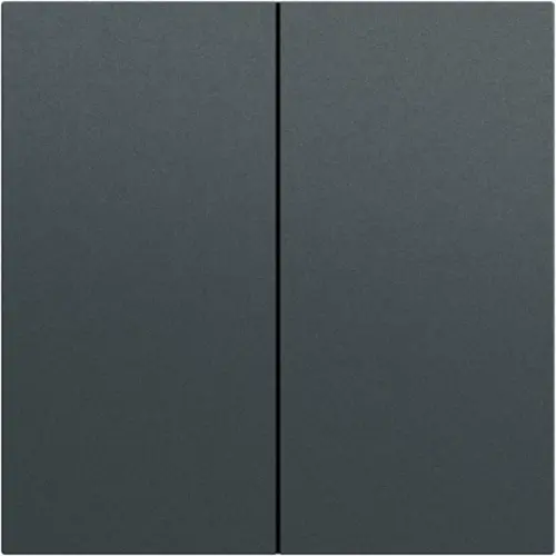 Gira 329573 schakelwip 2-voudig Systeem 70 antraciet mat