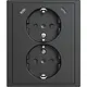 Busch-Jaeger 202EUJRB2USBC-81 wandcontactdoos 2-voudig randaarde Safety+ en 2x USB C voor enkele inbouwdoos Future Linear antraciet glans