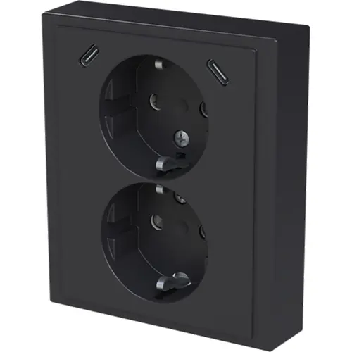 Busch-Jaeger 202EUJRB2USBC-81 wandcontactdoos 2-voudig randaarde Safety+ en 2x USB C voor enkele inbouwdoos Future Linear antraciet glans