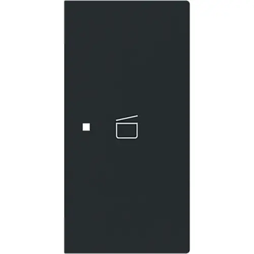 Busch-Jaeger 6233-22-45M bedieningswip rechts symbool scene tbv bedieningselement flex 2-voudig Art Linear zwart mat