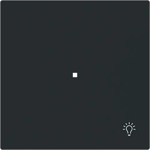 Busch-Jaeger 6231-10-45M bedieningswip 1-voudig met symbool licht Art Linear zwart mat