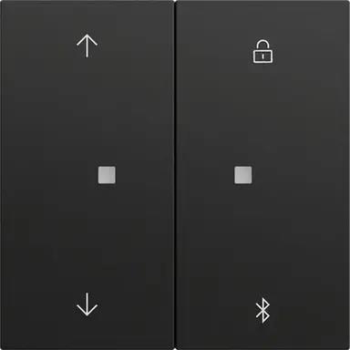Gira 536774 Systeem 3000 Bluetooth bedieningselement met pijlsymbolen Systeem 70 zwart mat