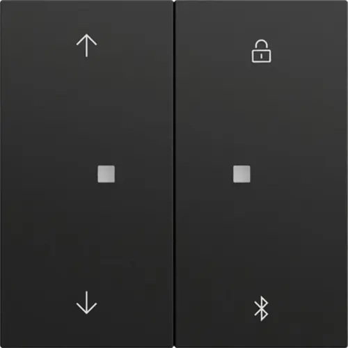 Gira 536774 Bluetooth bedieningselement met pijlsymbolen Systeem 3000 Systeem 70 zwart mat
