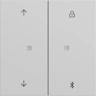 Gira 536776 Systeem 3000 Bluetooth bedieningselement met pijlsymbolen Systeem 70 grijs mat