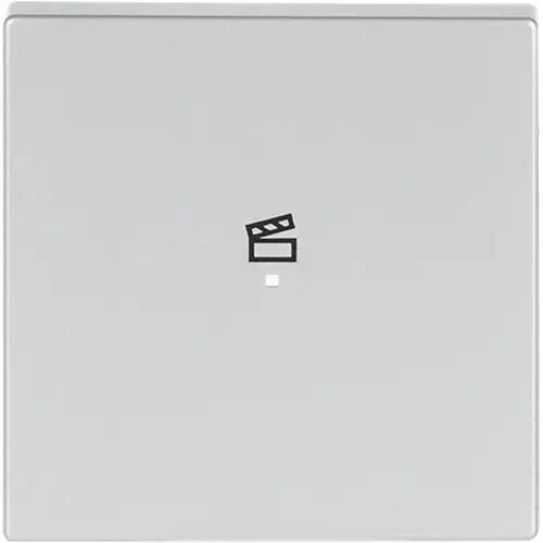 Busch-Jaeger 6233-10-83 bedieningswip 1-voudig met symbool scene tbv bedieningselement flex Future Linear aluzilver mat