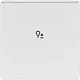 Busch-Jaeger 6234-10-83 bedieningswip 1-voudig met symbool dimmer Future Linear aluzilver