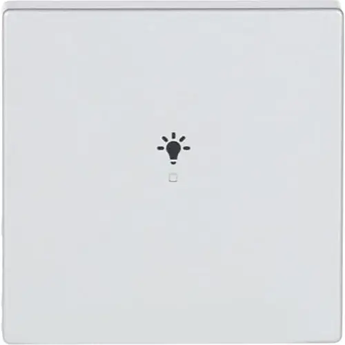 Busch-Jaeger 6231-10-83 bedieningswip 1-voudig met symbool licht Future Linear aluzilver