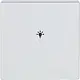 Busch-Jaeger 6231-10-83 bedieningswip 1-voudig met symbool licht Future Linear aluzilver