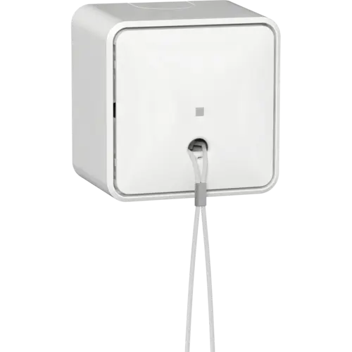 Gira 314613 trekschakelaar met interne montageplaat opbouw 10A wit