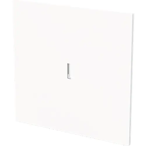 Busch-Jaeger 1789 N-44G schakelwip controlevenster Art Linear studiowit glans