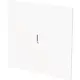 Busch-Jaeger 1789 N-44M schakelwip controlevenster Art Linear studiowit mat