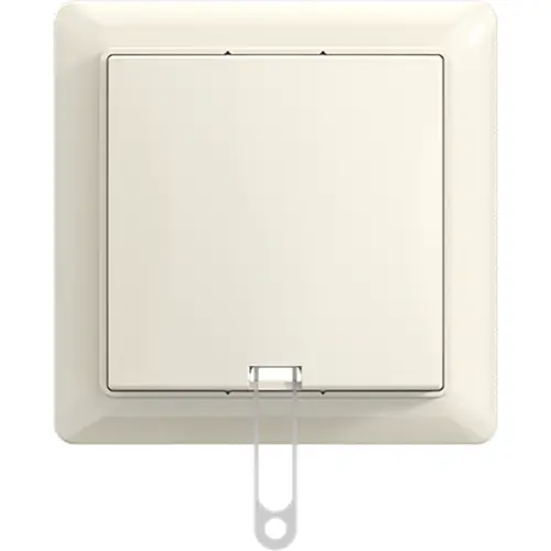 Busch-Jaeger 2610/6 J-522-503 trekschakelaar opbouw met montageplaat Balance AP creme