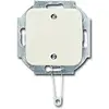 Busch-Jaeger 2610/6 UC-212-503 trekschakelaar incl. centraalplaat Standaard SI