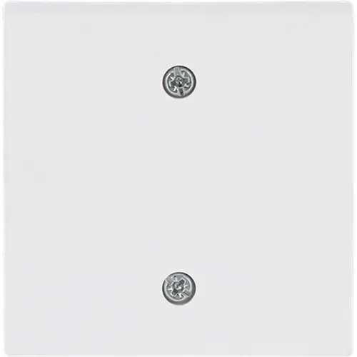 Busch-Jaeger 1796-884 centraalplaat voor trekschakelaar 2610/6U Future Linear studiowit mat