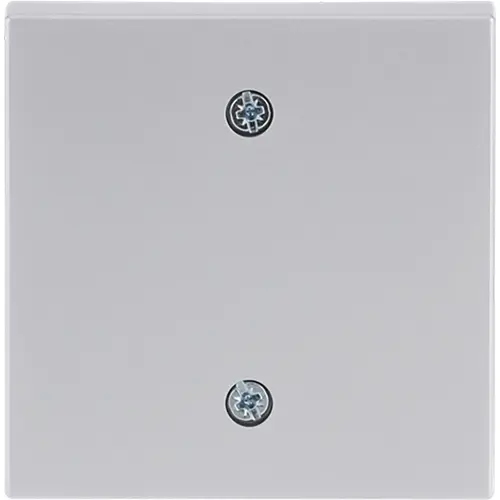 Busch-Jaeger 1796-83 centraalplaat voor trekschakelaar 2610/6U Future Linear aluzilver