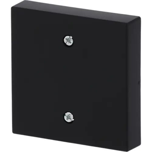 Busch-Jaeger 1796-885 centraalplaat voor trekschakelaar 2610/6U Future Linear zwart mat
