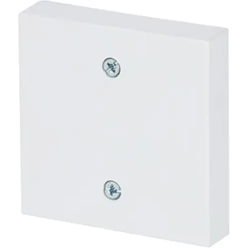 Busch-Jaeger 1796-84 centraalplaat voor trekschakelaar 2610/6U Future Linear studiowit glans