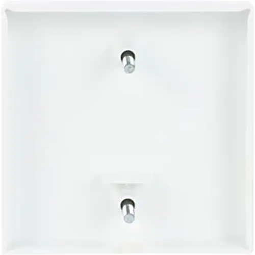 Busch-Jaeger 1796-84 centraalplaat voor trekschakelaar 2610/6U Future Linear studiowit glans