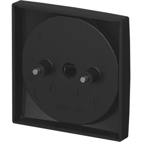 Busch-Jaeger 1796-915 centraalplaat voor trekschakelaar 2610/6U Balance SI zwart mat