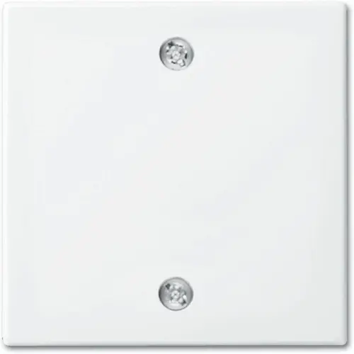 Busch-Jaeger 1796-914 centraalplaat voor trekschakelaar 2610/6U Balance SI wit glans