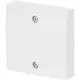 Busch-Jaeger 1796-914 centraalplaat voor trekschakelaar 2610/6U Balance SI wit glans