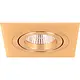 Yphix 50114341 Inbouwspot GU10 Torino vierkant goud kantelbaar met klemveren exclusief lichtbron