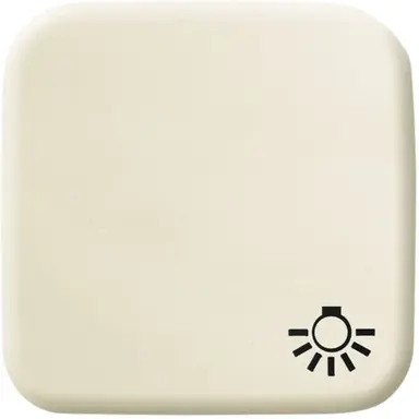 Busch-Jaeger 2520 LI-212 schakelwip symbool licht Standaard SI
