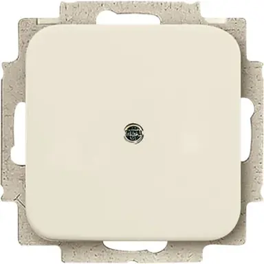 Busch-Jaeger 2538-212 blinddeksel incl. draagframe Standaard SI