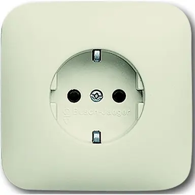 Busch-Jaeger 20 EUJ-212-503 wandcontactdoos randaarde volle afdekplaat Standaard SI