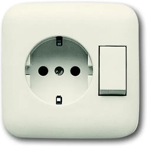 Busch-Jaeger 4310/6 EUJ-212-500 combinatie schakelaar/wandcontactdoos randaarde Standaard SI