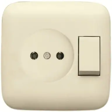 Busch-Jaeger 4310/6 UJ-212-500 combinatie wandcontactdoos/schakelaar zonder randaarde Standaard SI