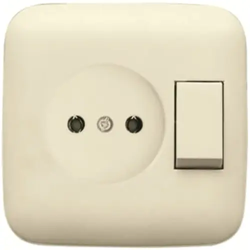 Busch-Jaeger 4310/6 UJ-212-500 combinatie wandcontactdoos/schakelaar zonder randaarde Standaard SI