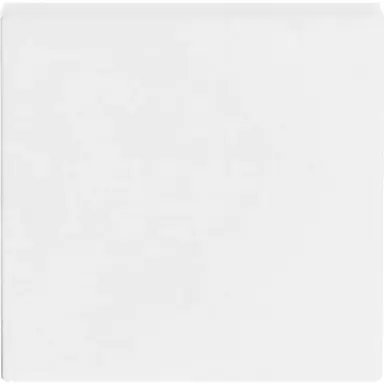 Busch-Jaeger 1786-884 schakelwip Future Linear studiowit mat