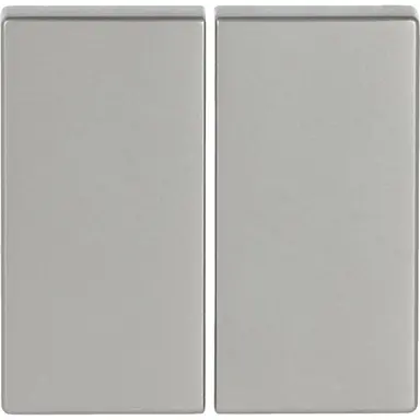 Busch-Jaeger 6736 FoH-866 Friends of Hue bedieningswip 2-voudig Pure Stainless Steel