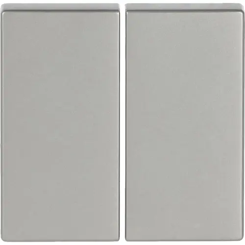 Busch-Jaeger 6736 FoH-866 Friends of Hue bedieningswip 2-voudig Pure Stainless Steel