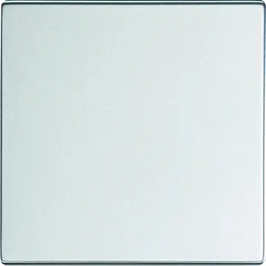 Busch-Jaeger 6735 BT-83 Friends of Hue bedieningswip 1-voudig Future Linear aluzilver