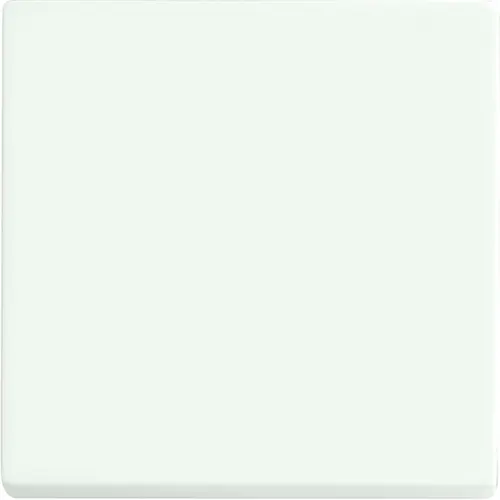 Busch-Jaeger 6735 BT-884 Friends of Hue schakelwip 1-voudig Future Linear studiowit mat