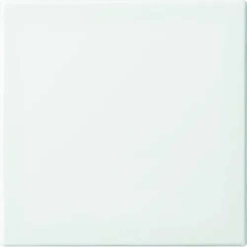 Busch-Jaeger 6735 BT-914 Friends of Hue schakelwip 1-voudig Balance SI wit glans