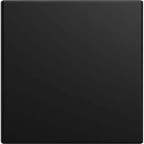 Busch-Jaeger 6735 BT-915 Friends of Hue schakelwip 1-voudig Balance SI zwart mat