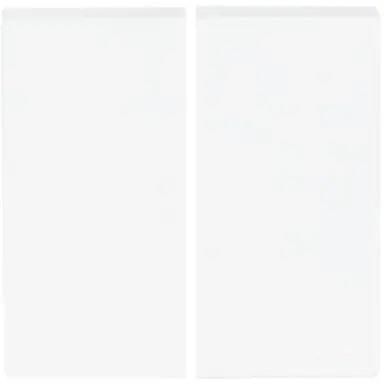 Busch-Jaeger 6736 FoH-84 Friends of Hue bedieningswip 2-voudig Future Linear studiowit glans