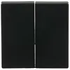 Busch-Jaeger 6736 FoH-885 Friends of Hue bedieningswip 2-voudig Future Linear zwart mat