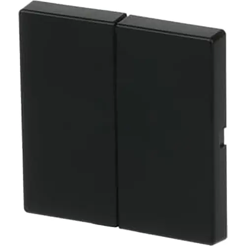 Busch-Jaeger 6736 FoH-885 Friends of Hue bedieningswip 2-voudig Future Linear zwart mat